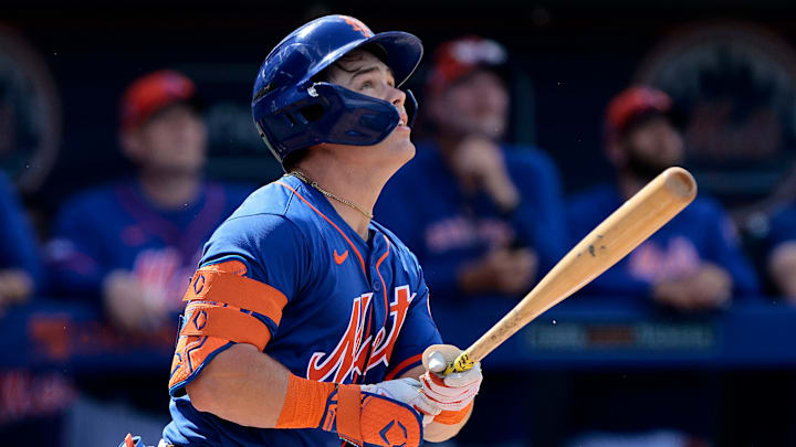 Washington Nationals v New York Mets