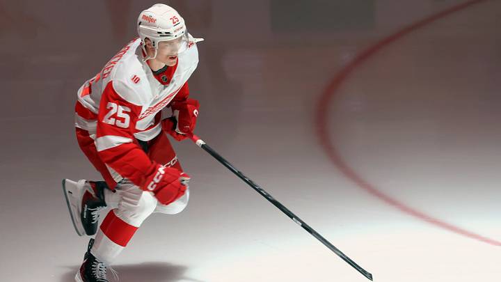 Detroit Red Wings defenseman Jacob Bernard-Docker (25). Credit: Charles LeClaire-Imagn Images Detroit Red Wings defenseman Jacob Bernard-Docker (25). Credit: Charles LeClaire-Imagn Images