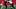 Wisconsin offensive lineman Kevin Heywood. Wisconsin offensive lineman Kevin Heywood.