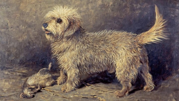 James Cowan Smith really wanted people at the National Gallery in Edinburgh to see this painting of his deceased dog, Callum.