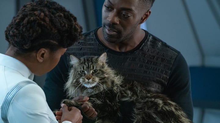 "Su'Kal" -- Ep#311 -- Pictured: Raven Dauda as Dr. Pollard and David Ajala as Book of the CBS All Access series STAR TREK: DISCOVERY. Photo Cr: Michael Gibson/CBS ©2020 CBS Interactive, Inc. All Rights Reserved.