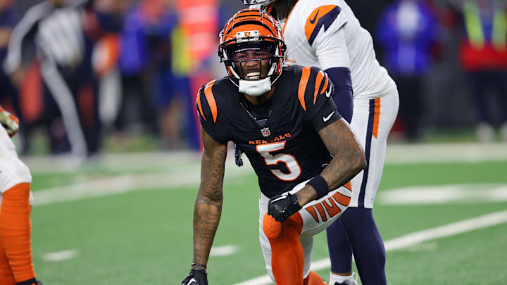 Dec 28, 2024; Cincinnati, Ohio, USA; Cincinnati Bengals wide receiver Tee Higgins (5) reacts after catching a first down pass in overtime against the Denver Broncos at Paycor Stadium. Mandatory Credit: Joseph Maiorana-Imagn Images