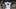 New York Yankees pitcher Will Warren New York Yankees pitcher Will Warren
