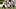 Saints wideout Jalen Moreno-Cropper