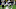 Minnesota Vikings Minnesota Vikings