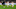 TOPSHOT-FBL-GER-BUNDESLIGA-STUTTGART-LEVERKUSEN TOPSHOT-FBL-GER-BUNDESLIGA-STUTTGART-LEVERKUSEN