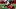 Arkansas Razorbacks wide receiver Monte Harrison Arkansas Razorbacks wide receiver Monte Harrison