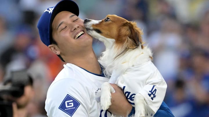 Los Angeles Dodgers designated hitter Shohei Ohtani (17) gets a kiss from his dog Decoy after he delivered the first pitch before the game against the Baltimore Orioles at Dodger Stadium.