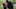 TWD_1012_JD_1009_0233-RT TWD_1012_JD_1009_0233-RT