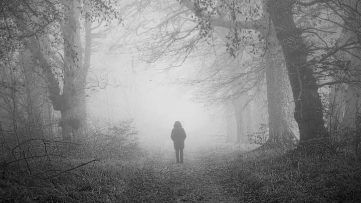 Vermont has been home to a strange series of disappearances.