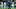 Jose Mourinho, Sami Khedira, Marcelo Jose Mourinho, Sami Khedira, Marcelo