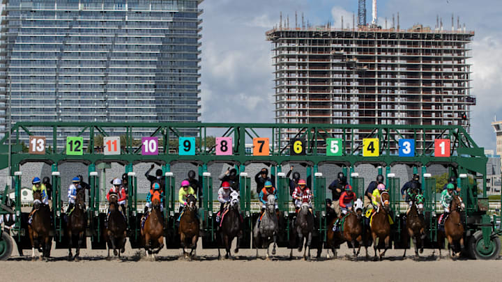GulfStream Starting Gate