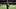 Juwan Johnson has been an elite tight end in fantasy football this season. Juwan Johnson has been an elite tight end in fantasy football this season.