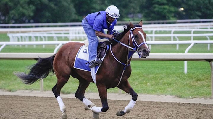Jun 6, 2024; Saratoga Springs, NY, USA; Belmont stakes contender Mystik Dan trains Thursday morning at the Oklahoma Training Track. Jun 6, 2024; Saratoga Springs, NY, USA; Belmont stakes contender Mystik Dan trains Thursday morning at the Oklahoma Training Track.