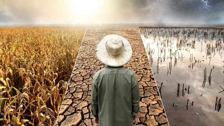 Man stands between a cornfield, dried earth, and a flooded landscape