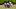 Southern Miss Football, Offensive Linemen Southern Miss Football, Offensive Linemen