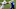 Malik Hamm, Baltimore Ravens Malik Hamm, Baltimore Ravens