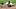 Tampa Bay Rays outfielder Chandler Simpson ( Tampa Bay Rays outfielder Chandler Simpson (
