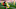 Jeremie Frimpong, Josip Juranovic Jeremie Frimpong, Josip Juranovic