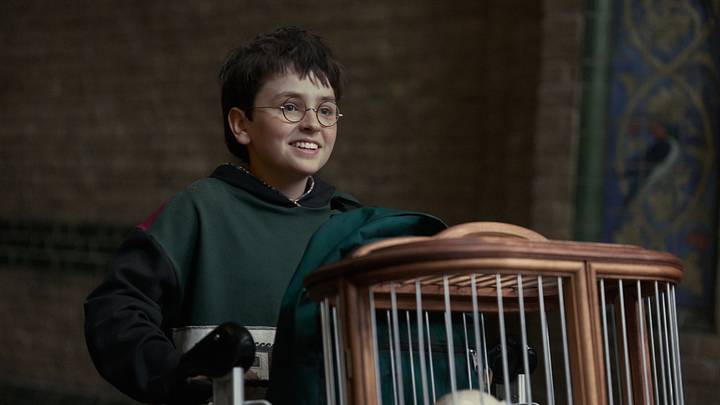 Dominic McLaughlin (Harry Potter) in Harry Potter and the Philosopher's Stone. Photograph by Aidan Monaghan/HBO. Dominic McLaughlin (Harry Potter) in Harry Potter and the Philosopher's Stone. Photograph by Aidan Monaghan/HBO.