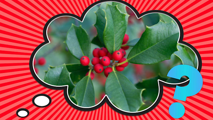 It wasn't always associated with the holidays. 