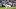 BYU Cougars quarterback Bear Bachmeier BYU Cougars quarterback Bear Bachmeier