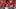 San Francisco 49ers wide receiver Jordan Watkins fantasy football