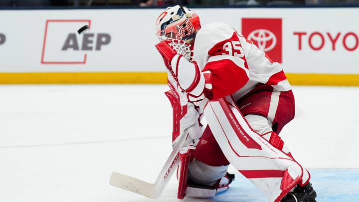 Detroit Red Wings goaltender Michal Postava Credit: Aaron Doster-Imagn Images Detroit Red Wings goaltender Michal Postava Credit: Aaron Doster-Imagn Images