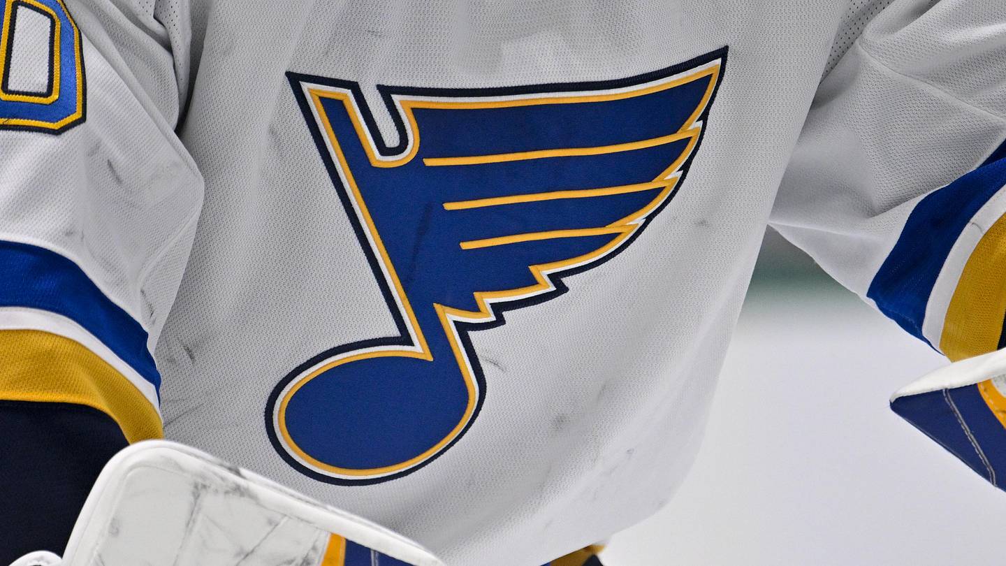 This Swedish defenseman has 'Blues Hockey' written all over him