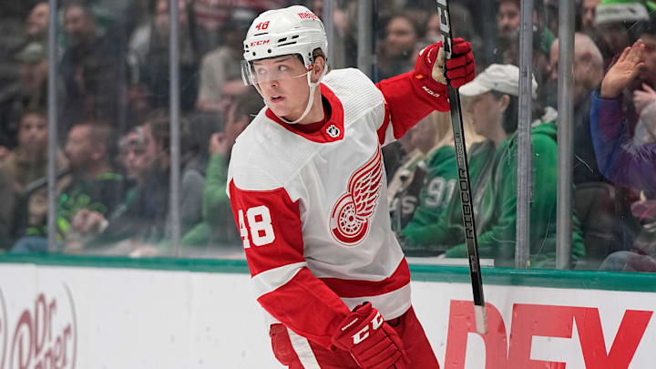 Detroit Red Wings v Dallas Stars