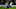 Enzo Fernandez, Pape Matar Sarr Enzo Fernandez, Pape Matar Sarr