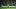 Erling Haland Erling Haland