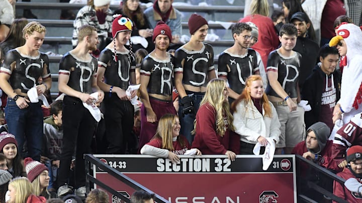 South Carolina football fans
