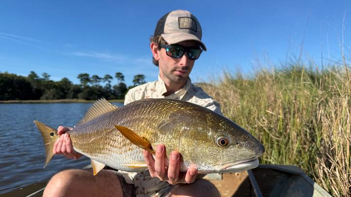 Redfish on the fly. Redfish on the fly.