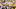 LSU cornerback DJ Pickett LSU cornerback DJ Pickett