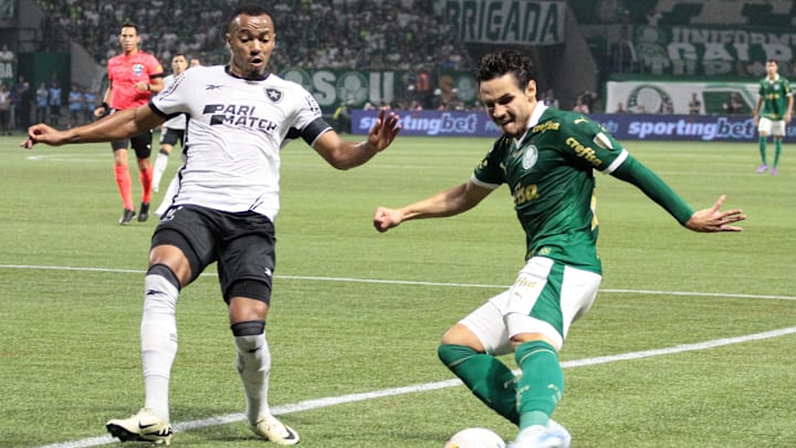 Palmeiras e Botafogo disputam a liderança do Brasileirão