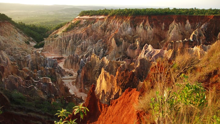 Madagascar, National Park of Ankarafantsika, Canyon walk at sunrise