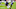 Baltimore Ravens. Zay Flowers Baltimore Ravens. Zay Flowers