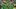 oregon ducks football uniform combination reveal nike zach grisham dan lanning portland state vikings autzen stadium jersey oregon ducks football uniform combination reveal nike zach grisham dan lanning portland state vikings autzen stadium jersey