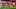 Mohamed Salah Mohamed Salah