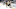 Chandler Stephenson, Brandon Tanev Chandler Stephenson, Brandon Tanev