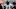 Chicago Bears, Patrick Surtain