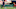 Edson Alvarez, Vaclav Cerny