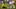 Ist der Name Jadon Sancho mehr Schall und Rauch als konkreter Transferwunsch?