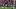 Simeone apuesta por un once alternativo en Mestalla con la vista puesta en el Arsenal — image 3