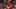 FBL-WC-2026-FRIENDLY-PAN-DOM FBL-WC-2026-FRIENDLY-PAN-DOM