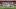 Tunisia v Netherlands: Group F - FIFA World Cup 2026