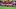 Australia v Egypt: Round of 32 - FIFA World Cup 2026