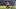 Aymeric Laporte Aymeric Laporte