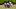 Southern Miss, Offensive Line Southern Miss, Offensive Line